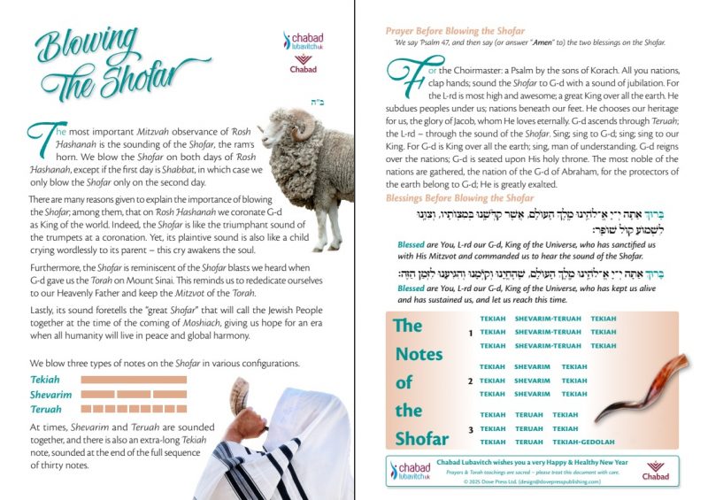 Shofar Card - Image 2